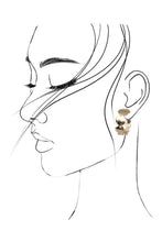 Load image into Gallery viewer, Gold Graduated Circled Hoop Earrings
